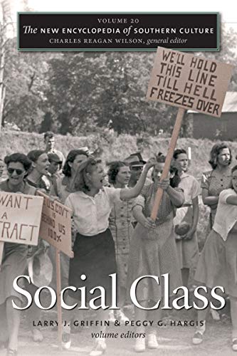 9780807872321: The New Encylopedia of Southern Culture: Social Class: 20 (The New Encyclopedia of Southern Culture): Volume 20: Social Class