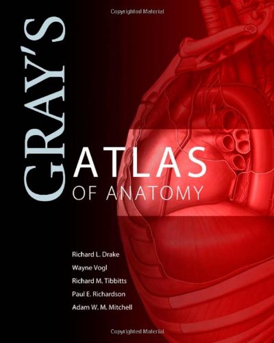 Stock image for GRAY'S ATLAS OF ANATOMY, INTERNATIONAL EDITION for sale by Universal Store