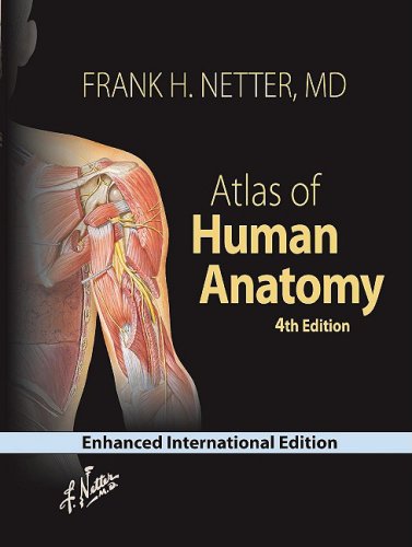 Beispielbild fr Atlas of Human Anatomy, Professional Edition zum Verkauf von HPB-Emerald