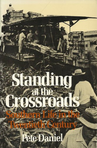 Imagen de archivo de Standing at the Crossroads : Southern Life in the Twentieth Century a la venta por Better World Books