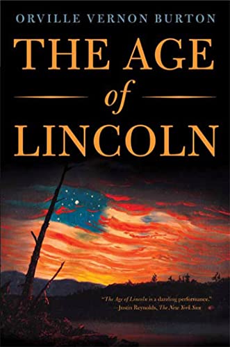 Beispielbild fr The Age of Lincoln: A History zum Verkauf von Wonder Book