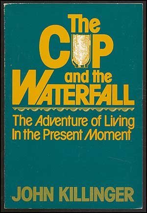 Stock image for Cup and the Waterfall: The Adventure of Living in the Present Moment for sale by WorldofBooks