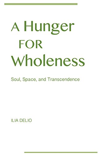Stock image for A Hunger for Wholeness: Soul, Space, and Transcendence for sale by SecondSale