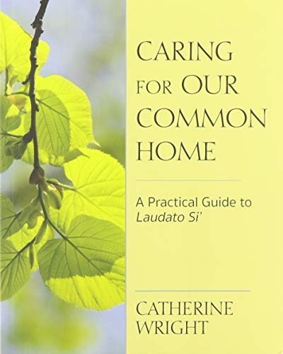 Stock image for Caring for Our Common Home : A Practical Guide to Laudato Si' for sale by Better World Books
