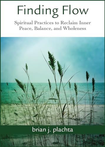 Beispielbild fr Finding Flow: Spiritual Practices to Reclaim Inner Peace, Balance, and Wholeness zum Verkauf von BooksRun