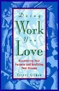 9780809230433: Doing Work You Love