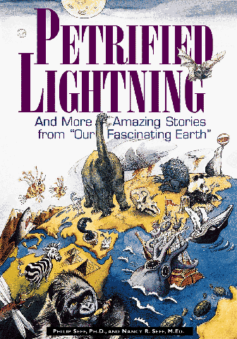 9780809232505: Petrified Lightning