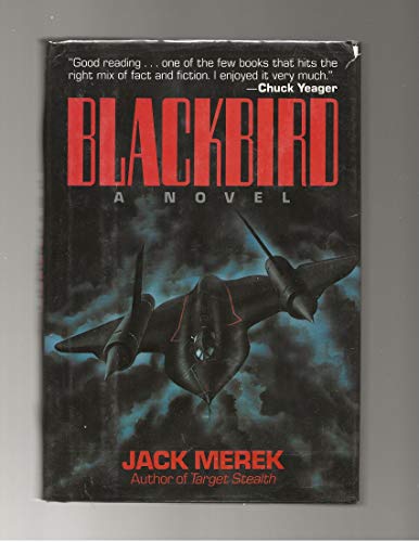 9780809241606: Blackbird: A Novel