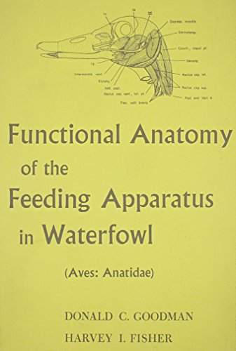 Functional Anatomy of the Feeding Apparatus in Waterfowl: (Aves: Anatidae) (Aus : Anatidae) (9780809300662) by Goodman, Donald C.; Fisher, Harvey I.