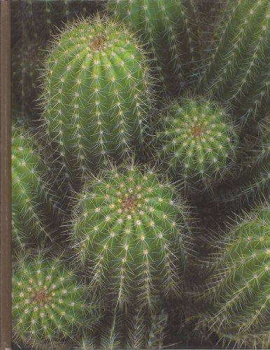 Beispielbild fr Cacti and Succulents zum Verkauf von Better World Books