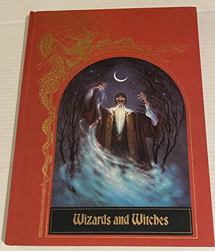 9780809452040: Wizards and Witches (Enchanted World)