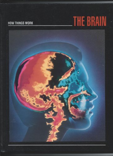 Beispielbild fr The Brain (How things work) zum Verkauf von WorldofBooks