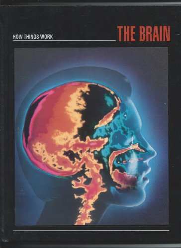 Stock image for The Brain (How things work) for sale by WorldofBooks