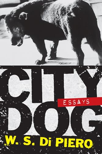 Stock image for City Dog: Essays for sale by Open Books
