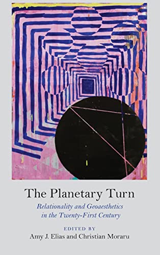 Imagen de archivo de The Planetary Turn: Relationality and Geoaesthetics in the Twenty-First Century a la venta por Midtown Scholar Bookstore