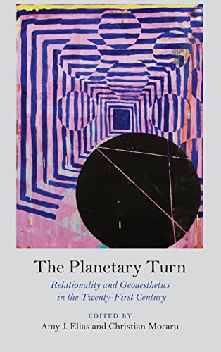 Stock image for The Planetary Turn: Relationality and Geoaesthetics in the Twenty-First Century for sale by Midtown Scholar Bookstore