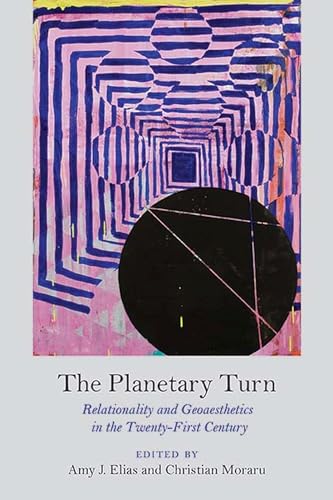 Imagen de archivo de The Planetary Turn: Relationality and Geoaesthetics in the Twenty-First Century a la venta por HPB-Red