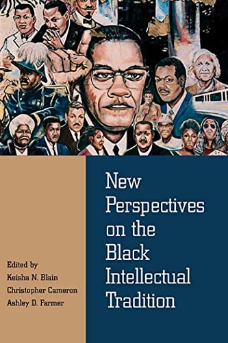 Stock image for New Perspectives on the Black Intellectual Tradition for sale by Revaluation Books