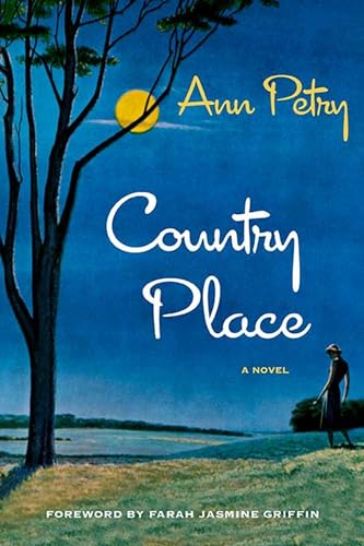 9780810139763: Country Place: A Novel