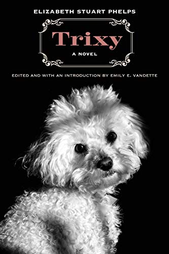 Stock image for Trixy: A Novel for sale by FITZ BOOKS AND WAFFLES