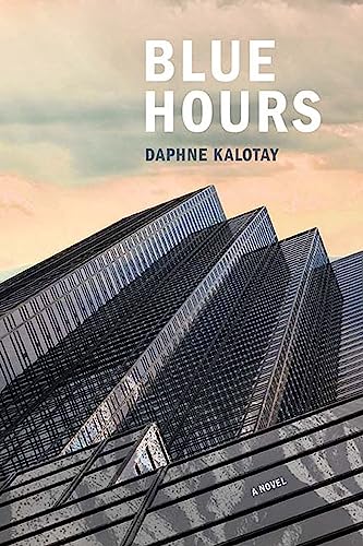 9780810140561: Blue Hours: A Novel