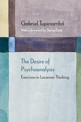 Beispielbild fr The Desire of Psychoanalysis: Exercises in Lacanian Thinking (Diaeresis) zum Verkauf von Inquiring Minds