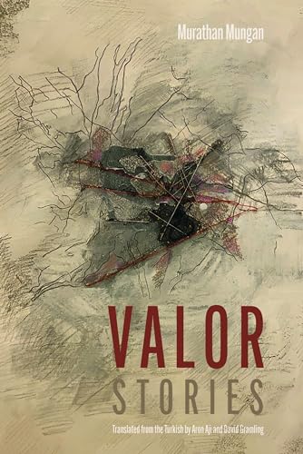 Beispielbild fr Valor: Stories zum Verkauf von HPB-Ruby