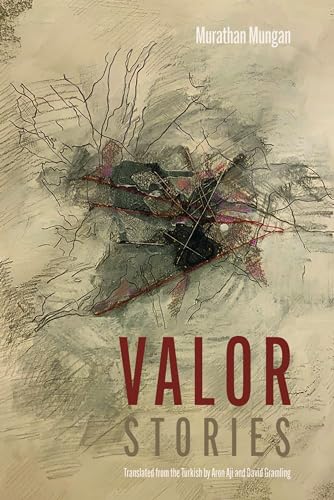 Stock image for Valor: Stories for sale by HPB-Ruby