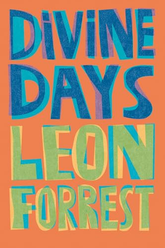 9780810145702: Divine Days: A Novel