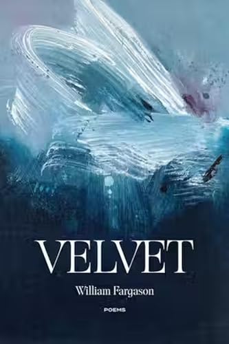 Stock image for Velvet : Poems for sale by GreatBookPrices