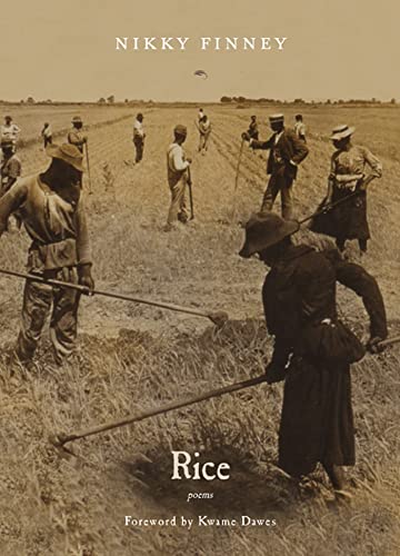 Imagen de archivo de Rice Format: Paperback a la venta por INDOO