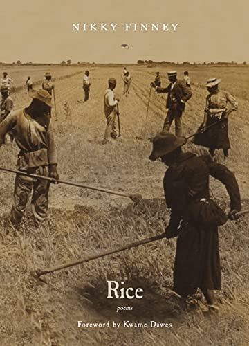 Stock image for Rice Format: Paperback for sale by INDOO