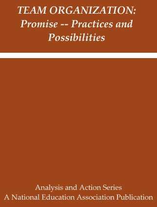 Stock image for Team Organization: Promise, Practices, and Possibilities (Analysis & Action Series) for sale by Irish Booksellers