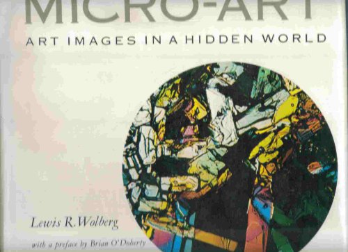Imagen de archivo de Micro-art;: Art images in a hidden world a la venta por ThriftBooks-Atlanta