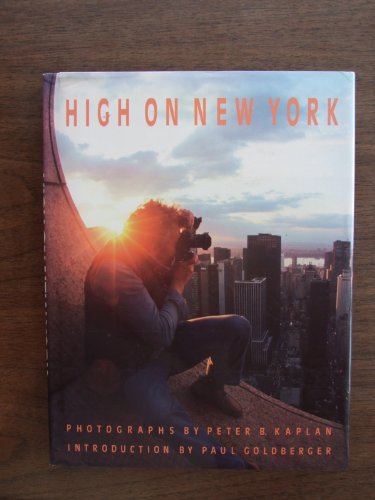 Beispielbild fr high on new york. zum Verkauf von alt-saarbrcker antiquariat g.w.melling