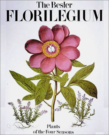 Imagen de archivo de The Besler Florilegium a la venta por Mullen Books, ABAA