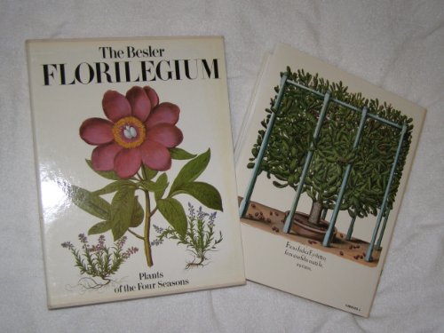 Stock image for The Besler Florilegium for sale by Mullen Books, ABAA