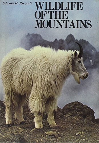 Wild Life of the Mountains