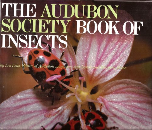 Audubon Society Book of Insects