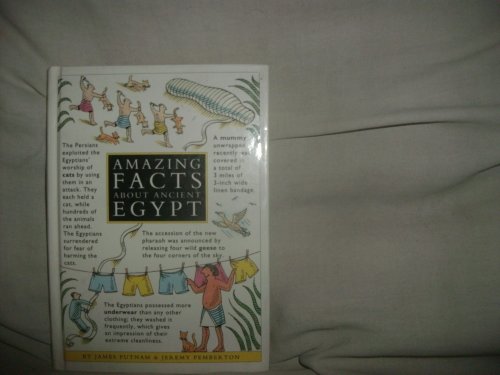 Stock image for Amazing Facts About Ancient Egypt (Beginner's Guides) for sale by Gulf Coast Books