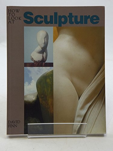 9780810924123: How to Look At Sculpture