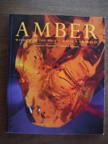 9780810926523: Amber: Window to the Past