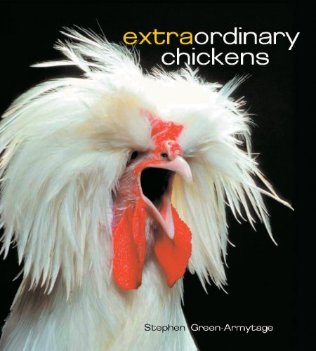 Beispielbild fr Extraordinary Chickens zum Verkauf von Better World Books