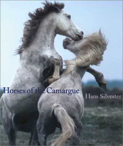 9780810935457: HORSES OF THE CAMARGUE