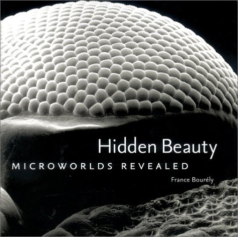 Beispielbild fr Hidden Beauty: Microworlds Revealed zum Verkauf von WorldofBooks