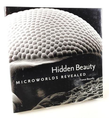 9780810935471: Hidden beauty: microworlds revealed