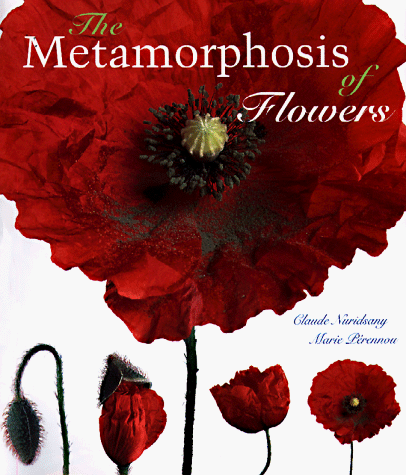 Stock image for The Metamorphosis of Flowers for sale by ThriftBooks-Atlanta