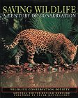 Imagen de archivo de Saving Wildlife: A Century of Conservation a la venta por HPB Inc.