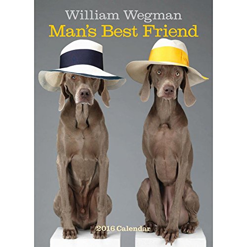 William Wegman Man's Best Friend 2010 Calendar (9780810937871) by Wegman, William