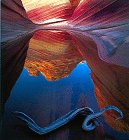 9780810944688: Stone Canyons of the Colorado Plateau